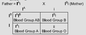 VBQs Principles of Inheritance and Variation Class 12 Biology