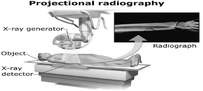 HOTs Electromagnetic Waves Class 12 Physics