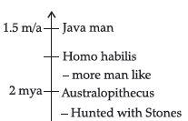 VBQs Evolution Class 12 Biology