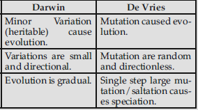 VBQs Evolution Class 12 Biology