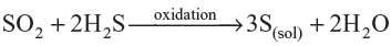 VBQs Surface Chemistry Class 12 Chemistry