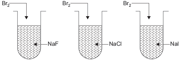 HOTs The p – Block Elements Class 12 Chemistry