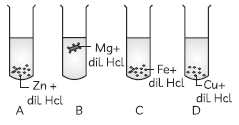 Class 10 Science Sample Paper Term 1 Set E